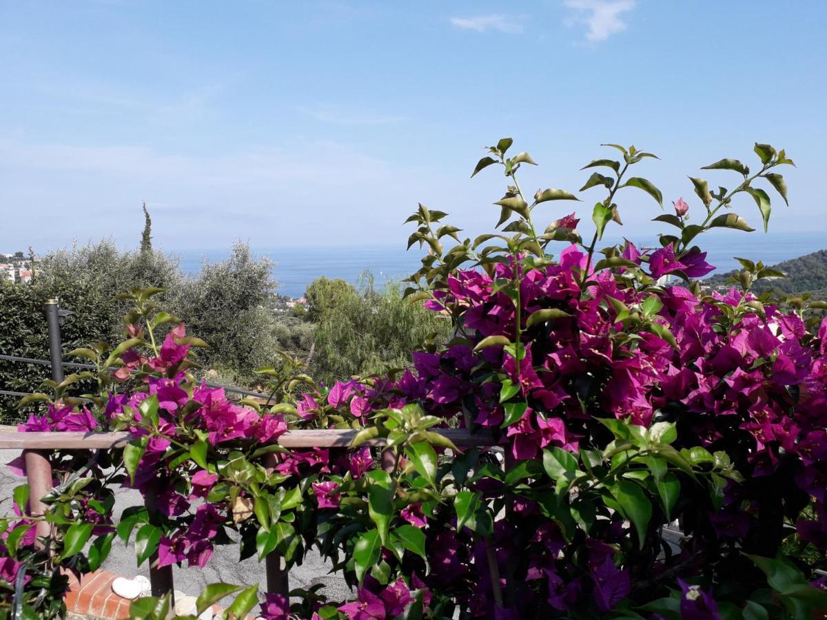 Il Porto Di Benny Bed & Breakfast Аласио Екстериор снимка