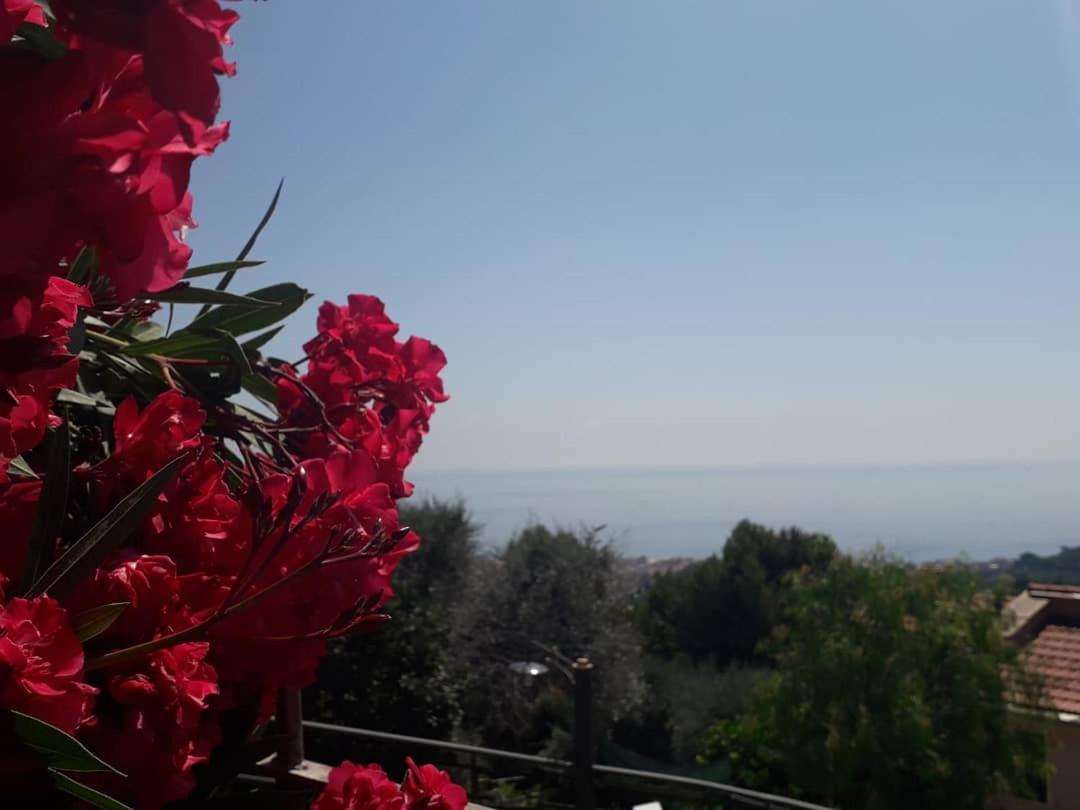 Il Porto Di Benny Bed & Breakfast Аласио Екстериор снимка